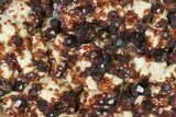 Spessartine Garnets & Smoky Quartz on Feldspar - China #146684-1